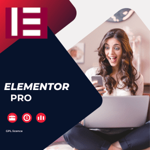Elementor  Page Builder V3.14.1[ 100% Working]